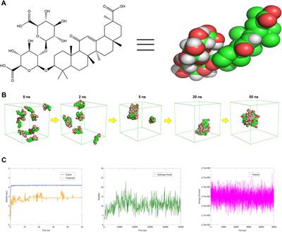 Micro-simulation insights into the functional and mechanistic understanding of glycyrrhizin against asthma